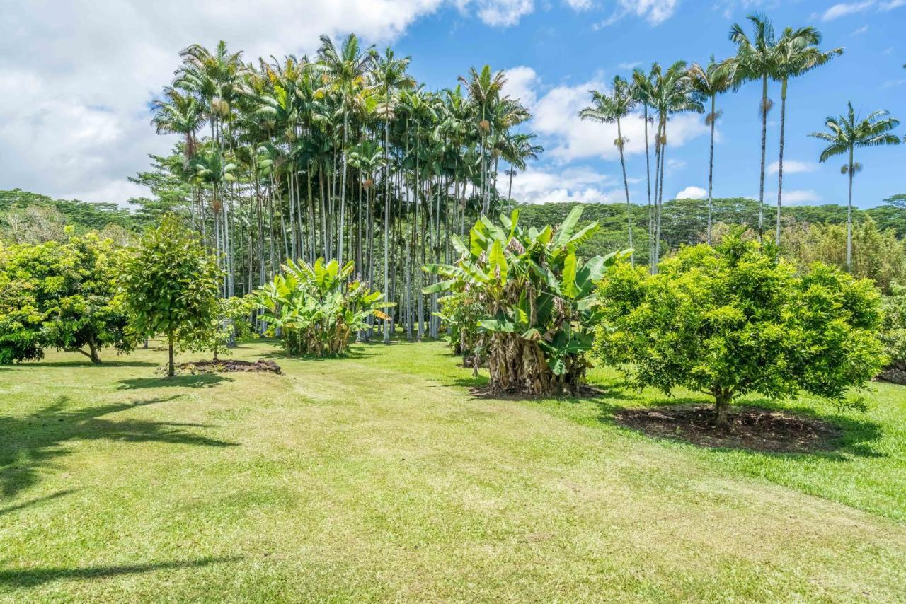 Old Hawaiian Bed And Breakfast 힐로 외부 사진