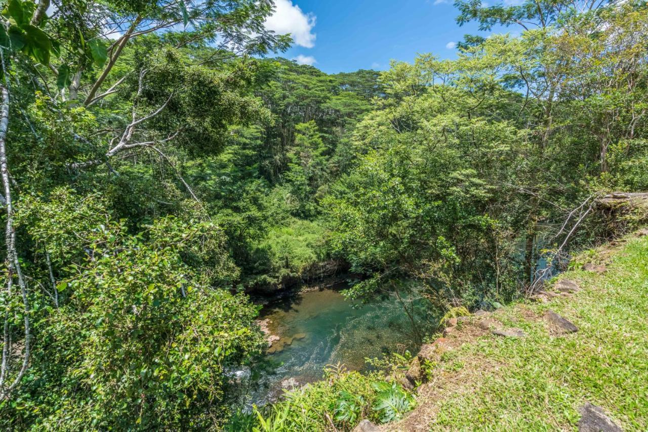 Old Hawaiian Bed And Breakfast 힐로 외부 사진