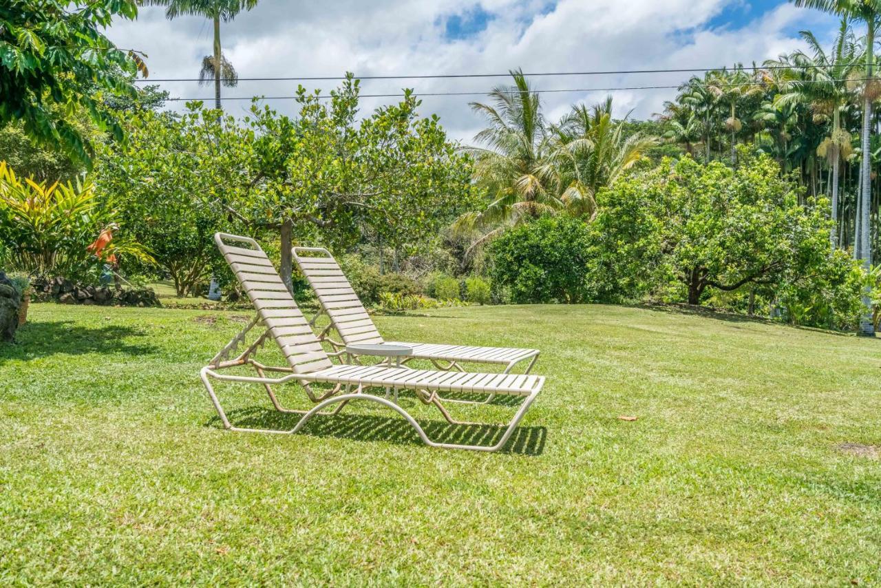 Old Hawaiian Bed And Breakfast 힐로 외부 사진