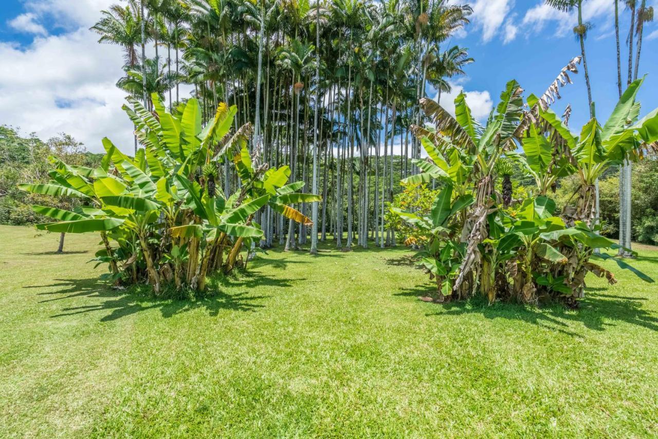 Old Hawaiian Bed And Breakfast 힐로 외부 사진